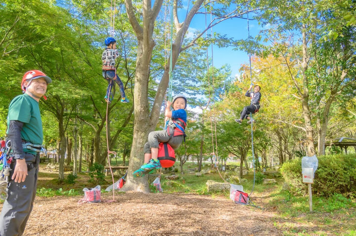 誰でもトムソーヤ！ツリーイング体験